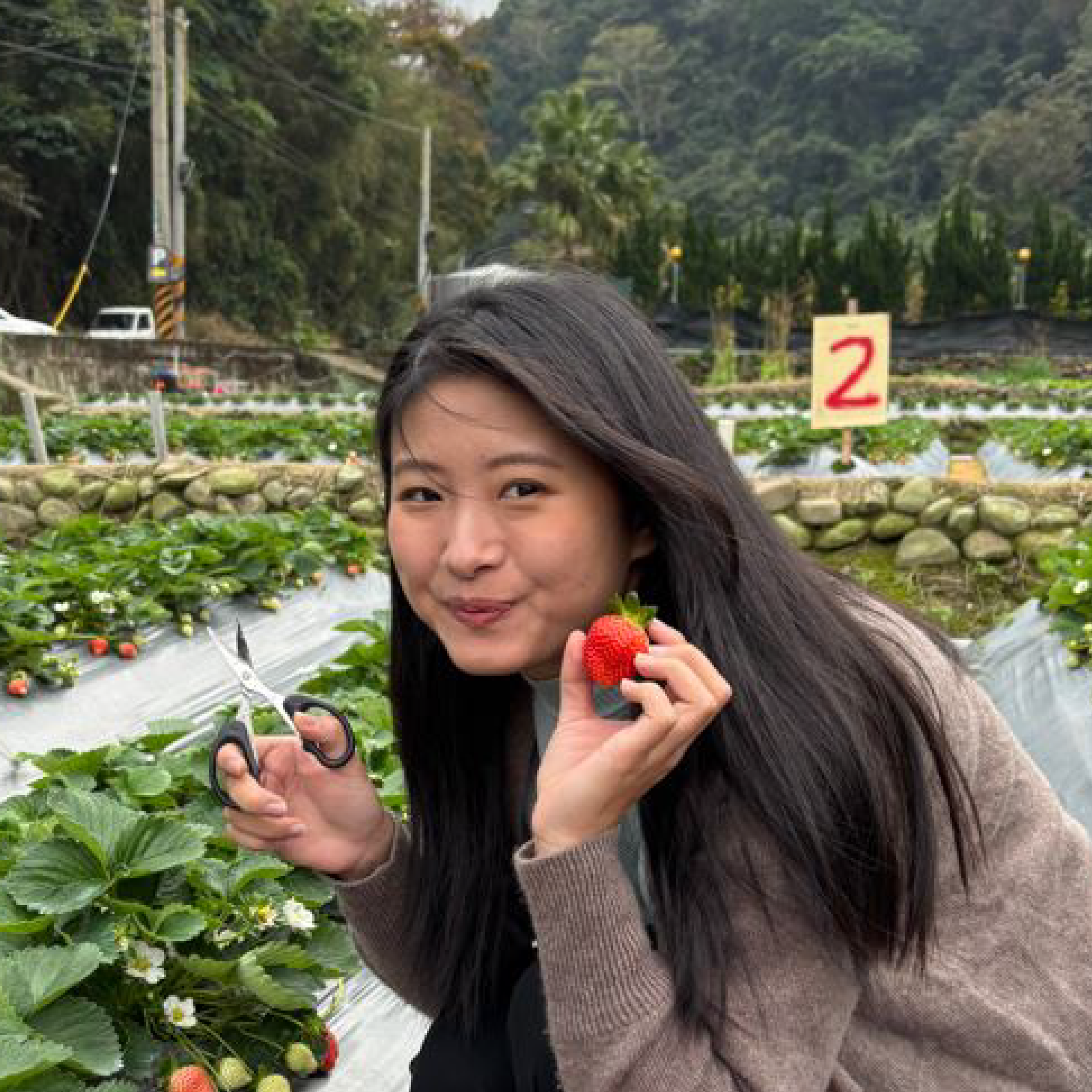 謝沂妮